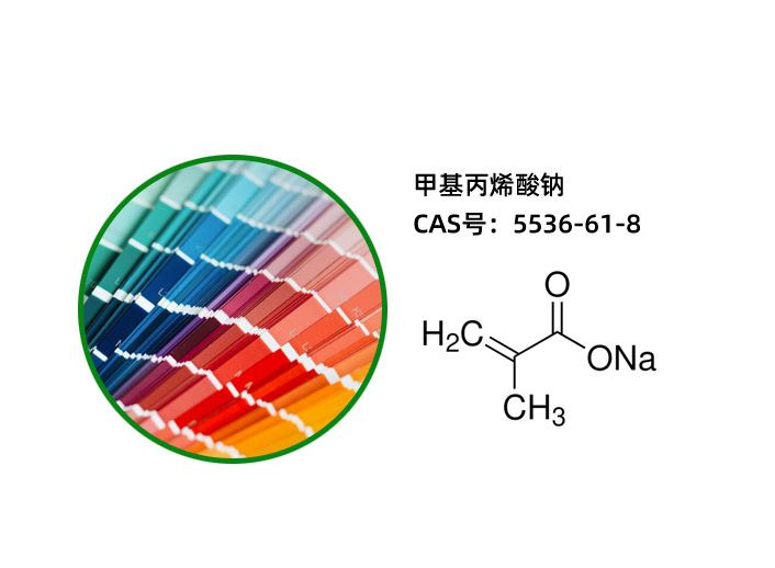 Sodium methacrylate 5536-61-8